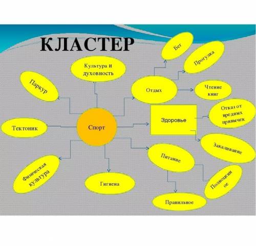 Кластер знаменитости и спорт