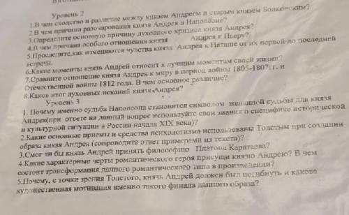 ответить на вопросы 2 и 3 уровня по Война и мир. Без копирования.