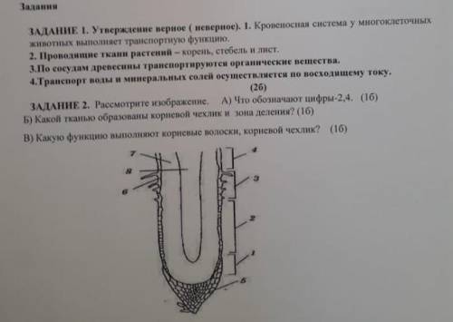 Сор по биологии 2 четверть первый