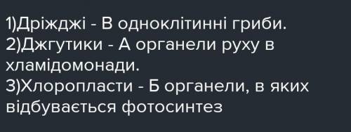 6.. Установіть відповідність між словами та їхніми характеристиками 1.биль 2.джель 3.щабель 4 явир