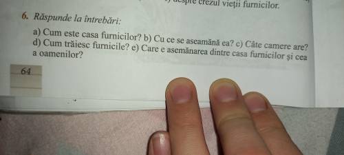 по Румынскому ответить на вопросы по тексту номер 6