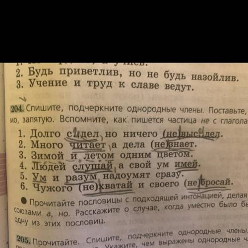 Упр. 204 составить схемы однородных членов.