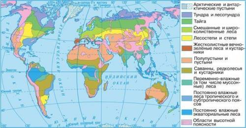 Как природные зоны располагаются на Земле? до завтра надо