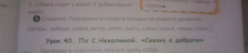 Спишите подчеркните слова в которых не ставится ударение сёстры лебеди озёра ветер отчёт грусть слёз