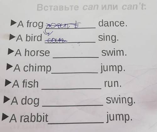 Вставьте саn или саn't A frog dance. A bird sing. swim. jump A horse A chimp A A fish A dog_ A rabbi