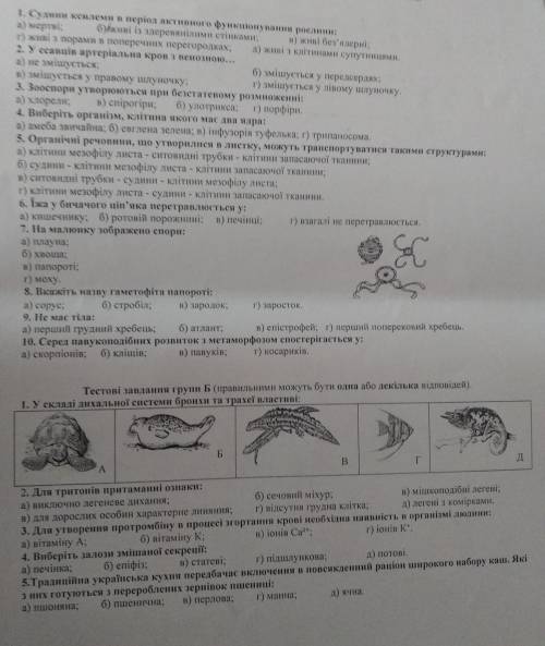 До іть будь-ласка виконати завдання з біології ( це не олімпіада, ні т.п)