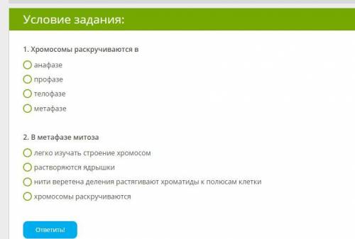 1. Хромосомы раскручиваются в анафазе профазе телофазе метафазе 2. В метафазе митоза легко изучать с