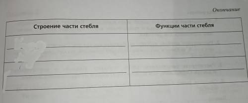 Задание 2 Установите соответствие между строением и функциями частей стебля