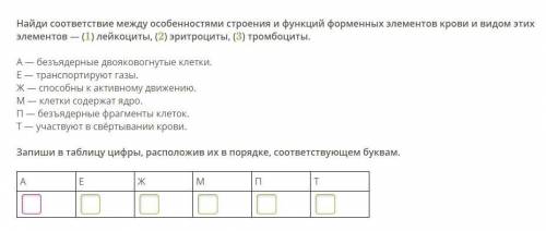 Найди соответствие между особенностями строения и функций форменных элементов крови и видом этих эле