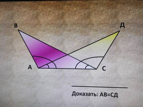 Геометрия Треугольник