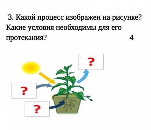 3. Какой процесс изображен на рисунке? Какие условия необходимы для его протекания