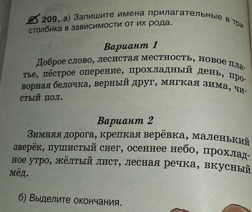 207. а) Запишите имена прилагательные в три proaбика в зависимости от их рода. Етовая ветка, туманны