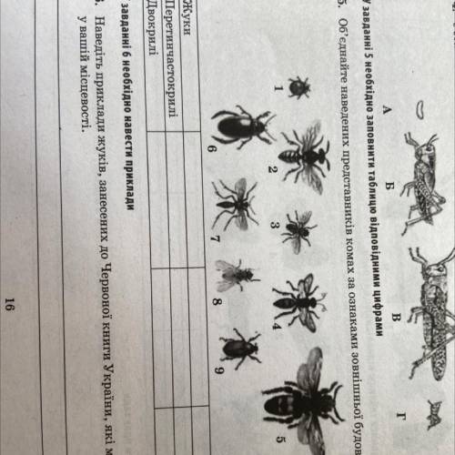 5. Об'єднайте наведених представників комах за ознаками зовнішньої будови в три групи. 8 9 6