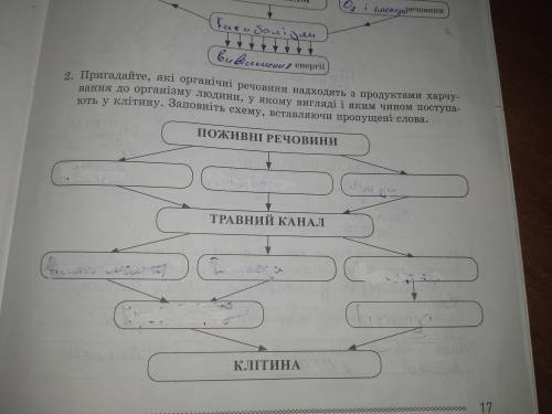 Пригадайте, які органічні речовини надходять з продуктами харчу вання до організму людини, у якому в