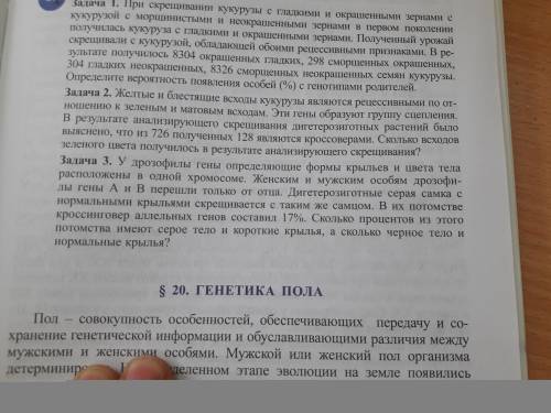 Задача 3. У дрозофилы гены определяющие формы крыльев и цвета тела расположены в одной хромосоме.