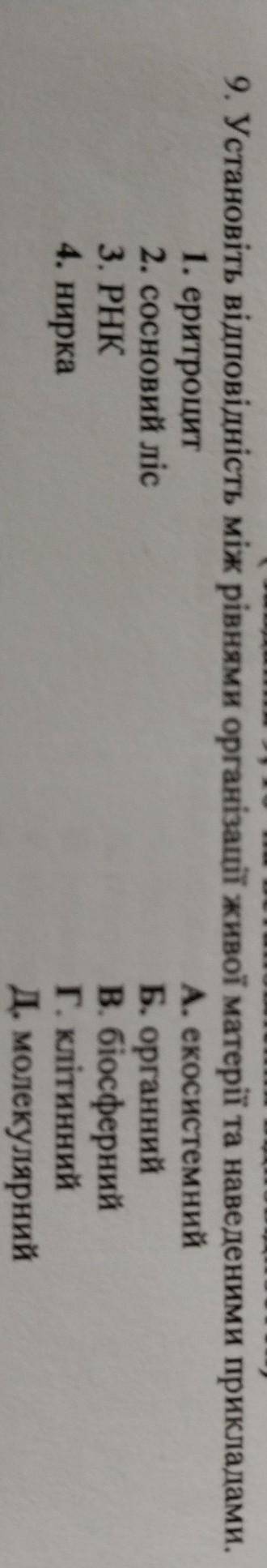 Відповідностей) 9. Установіть відповідність між рівнями організації живої матерії та наведеними прик