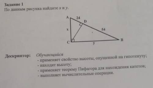 По данным рисунка найдите х и у.