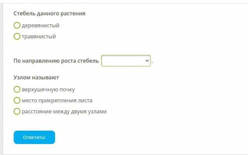 Рассмотри данные растения и отметь наиболее точные ответы. Земляника садовая Стебель данного растени