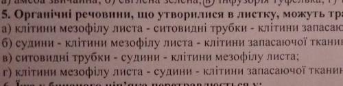 Якими структурами можуть транспортуватися органічні речовини, що утворилися в листку?