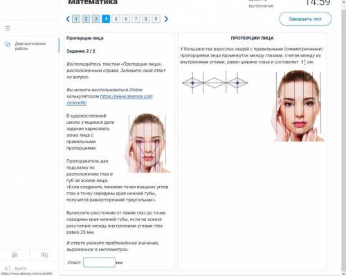 Задача на пропорции лица.