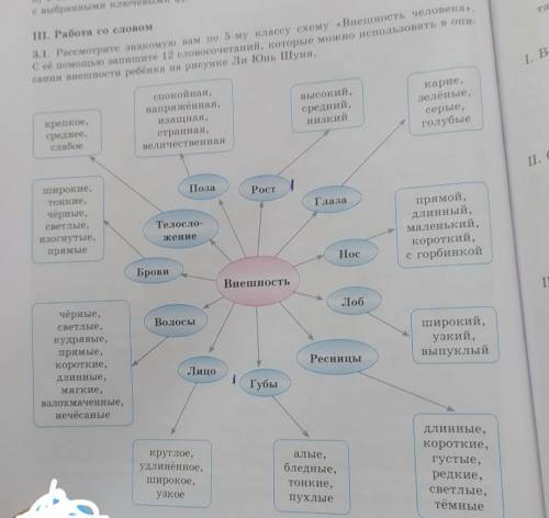 3.1. Рассмотрите знакомую вам по 5-му классу схему «Внешность человека С её запишите 12 словосочетан