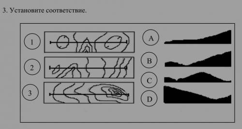 3. Установите соответствие.