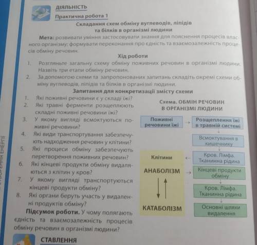 Практична робота Складання схем обміну вуглеводів, ліпідів та білків в організмі людини До іть буд