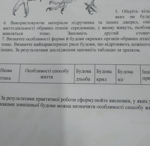 Визначте особливостrі будови дзьоба (rичкоподібнй, плоскийї, довгй, короткий, широкий roшю) На мк ос