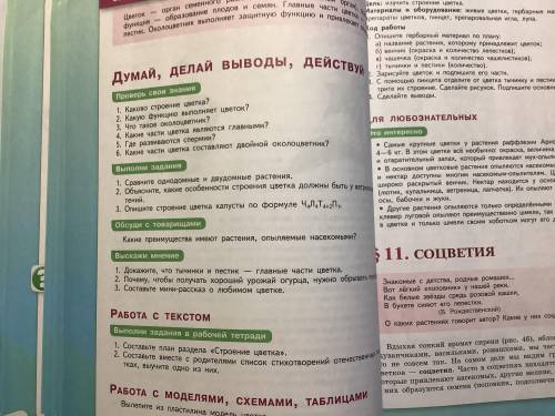 С тр. 46 вопросы выполни задания №2, обсуди с товарищем №1, выскажи мнение №3