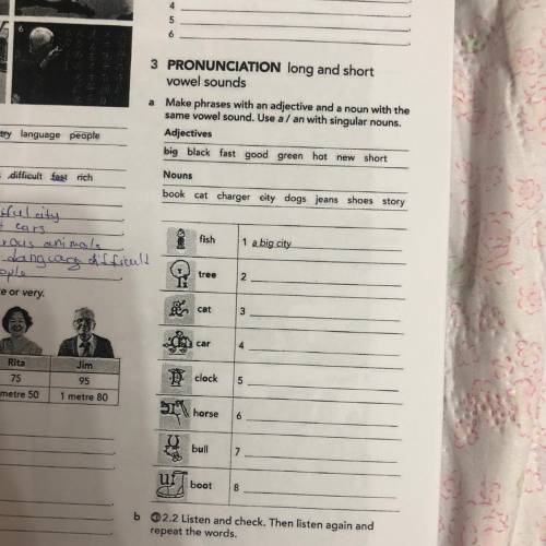 PRONUNCIATION long and short vowel sounds Make phrases with an adjective and a noun with the same vo