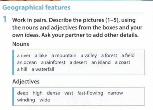 Work in pairs. Describe the pictures (1-5), using the nouns and adjectives from the boxes and your o