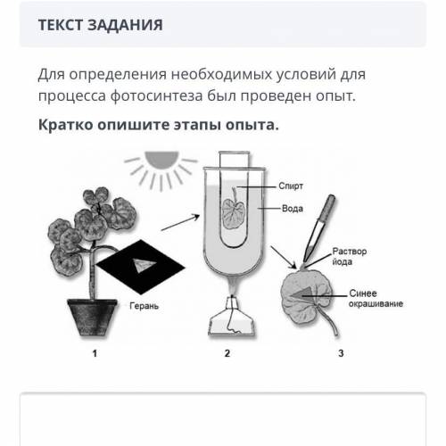 ТЕКСТ ЗАДАНИЯ Для определения необходимых условий для процесса фотосинтеза был проведен опыт. Кратко