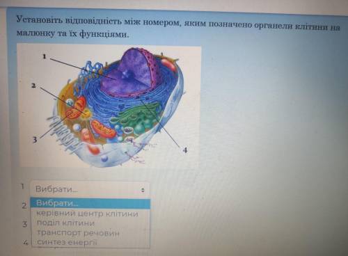 Подберите ответ к каждой цифре.ответ давать 100% правильный!