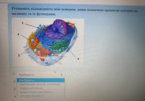 Пойеднайте всі цифри та означення