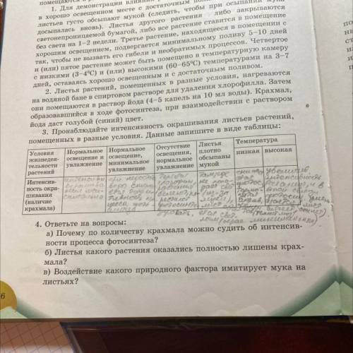 4. ответьте на вопросы: а) Почему по количеству крахмала можно судить об интенсив- ности процесса фо