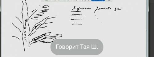 Составьте дерево функции на подобии этого.