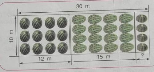 По приведённым данным найди, какую площадь участка выделили для арбузов, дынь и тыкв в отдельности