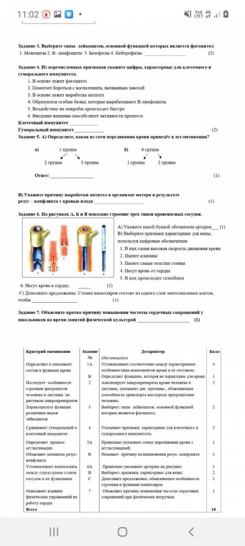 Установите соответствие между характерными особенностями компонентов крови и ее составом по биологии