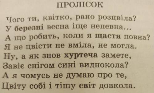 Виписати іменники визначити рід, число відмінок, відміну і групу