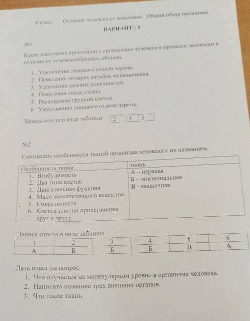 найдите мне сайт с которого этот тест и скиньте тест с этого сайта по теме скелет