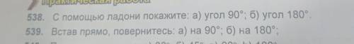 538. С ладони покажите: а) угол 90°; б) угол 180°. 539. Встав прямо, повернитесь: а) на 90°; б) на 1