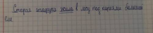 Старая волчиха жила в лесу под корнями большой ели. Подчеркнуть