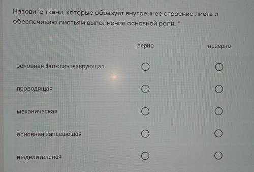 Назовите ткани, которые образуют внутреннее строение листа и обеспечиваю листьям выполнение основной