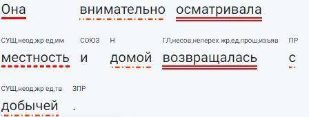 Она внимательно осматривала местность и домой возвращалась с добычей. 1)Сделать синтаксический разбо