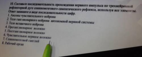 10.Составьте последовательность прохождения нервного импульса по трехнейронной рефлекторной дуге спи