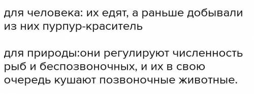 Каково значение головногих моллюсков каракатиц кальмаров осьминогов