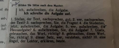 Bilden Sie Sätze nach dem Muster