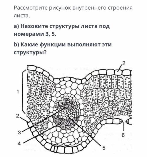 СОР ПО БИОЛОГИЙ 7 КЛАСС