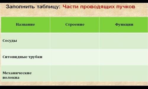 Заполнить таблицу части проводящих Пучков биология 6 класс НАДО