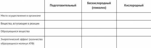 1) Заполните таблицу «Этапы энергетического обмена»